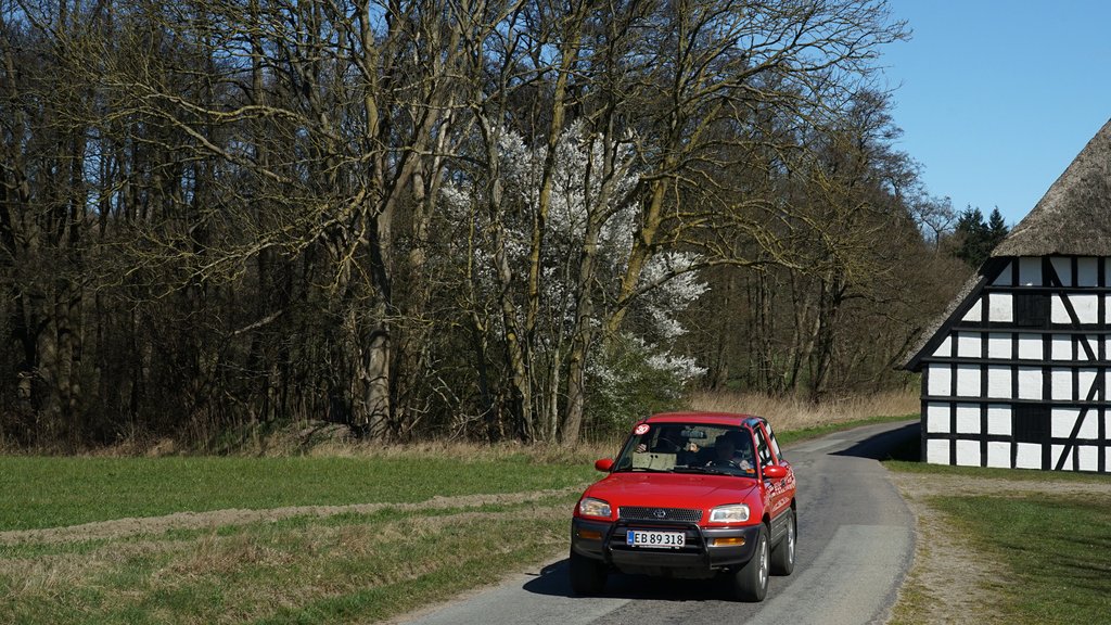 Laila Damkjær Pedersen og Ole Axelsen fra Stenstrup vandt begynderklassen i deres Toyota Rav fra 1986
(Foto: rallypics.dk / Viggo Johansen)